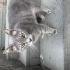 Sokağa terkedilmiş Dumana acil yuva. fotoğraf