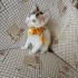 Minik Patiler yuva arıyor (2 dişi ,1 erkek) fotoğraf