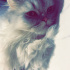ACIL YUVA ARIYORUZ fotoğraf