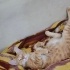 Paşa şirin mi şirin bir sarman erkek kedi;hem oyuncu hem de kucakcı. fotoğraf
