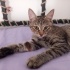 Tam bir prenses fotoğraf