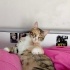 DELİ KIZ MİHRİBAN YUVA ARIYOR fotoğraf