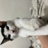 Çok acil yuva arıyoruz bu güzel bebeğe fotoğraf