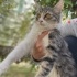 Güzel Oğlumuz Can'a Ömürlük Yuva Aranıyor fotoğraf