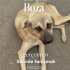 Boza ailesine kavuşmak istiyor fotoğraf