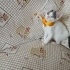 Minik Patiler yuva arıyor (2 dişi, 1 erkek) fotoğraf