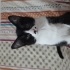 Kucak seven bir bebek fotoğraf