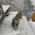 Üç güzel ve yakışıklı fotoğraf