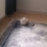 çok ama çok tatlı bir bebiş