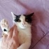 İZMİR VETERİNER KORUMASINDAKİ BEBEĞİMİZE ÖMÜRLÜK YUVASINI ARIYORUZ fotoğraf