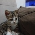 Acil yuva arıyoruz fotoğraf