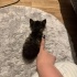 Bu minik bebekleri ölüme terketmeyin fotoğraf