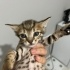 Merhaba yavrulara acil yuva fotoğraf