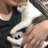 Acil yuva aranıyor fotoğraf