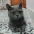 🐾Yuva Arayan Minik Kalpler 🐾 Merhaba!