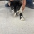 Çokkk Acilll Yuvaaa fotoğraf