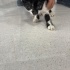 Çokkk Acilll Yuvaaa fotoğraf