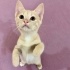 Tatlı minik yavru kedi yuva arıyor 🧡 fotoğraf