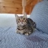 ONUN ŞANSI OLUN fotoğraf