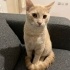 DUMAN İÇİN ÖMÜRLÜK YUVA