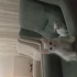 Elazığ 2,5 aylık 4 tane beyaz kedi. fotoğraf