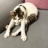 Kanatlı bir melek fotoğraf