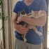 Yavru 2 buçuk aylık kedi fotoğraf