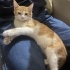 Doritos Yeni Sahibini Bekliyor fotoğraf