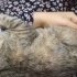 Acil yuva aranıyor sokağa gidemez fotoğraf