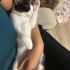 kucak bebeğine acil yuva fotoğraf