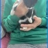 Minik smokin kedimiz yuva ariyoruz fotoğraf