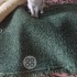 Prenses acil kalıcı yuva ariyoruz fotoğraf