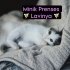 Minik Prenses 🧚💝Lavinya🧚💝 fotoğraf