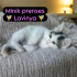 Minik Prenses 🧚💝Lavinya🧚💝 fotoğraf