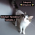 Erkek Güzeli 🧚 Ömercik 🧚