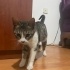 Kızımıza acil yuva fotoğraf