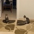 Minik bebeğimize yuva fotoğraf
