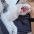 ANNESİ YOK 2 AYLIK fotoğraf
