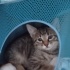 Üçüz kız kardeşler fotoğraf