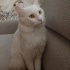 Oğlumuza Yuva arıyoruz fotoğraf