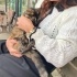 BENİM GİBİ BİR KEDİ DAHA ÖNCE GÖRMEMİŞSİNİZDİR ALAN ÇOK ŞANSLI fotoğraf