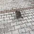 KARNIMA TEKME YEDİM DİYAFRAMIM YIRTILDI ABLA BENİ TEDAVİ ETTİRDİ GÜVENDE OLACAGI fotoğraf