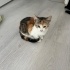 Bana yuva olurmusun fotoğraf