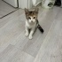 Bana yuva olurmusun fotoğraf