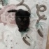 MİNİ MİNİ SCOTTISH FOLD MELEZİ fotoğraf