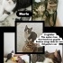 Sokağa Gitmesinler fotoğraf