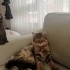 Sevgi Dolu, Sokağa Gitmesin fotoğraf