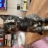 Lila ve Daisy’ye ömürlük yuva fotoğraf