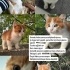 Öksüz Bebeğe Yuva fotoğraf