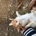Öksüz Bebeğe Yuva fotoğraf